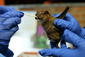 «Гораздо больше пугают обыденные для беларуских пенсионеров вещи, включая очереди в поликлиниках»