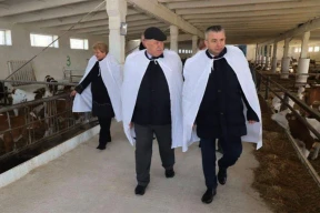 Молчание телят. Как Гомельщина неуклонно теряет стадо