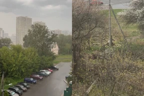 «Зато если вы сломаете ветку сирени в вазу — вас ждет штраф! Логика коммунальщиков, ау, ты где?»